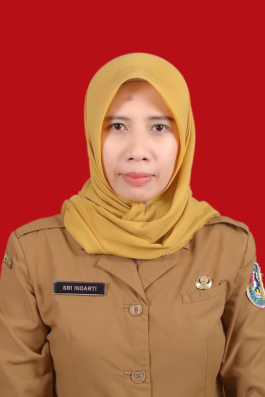 SRI INDARTI, S.H