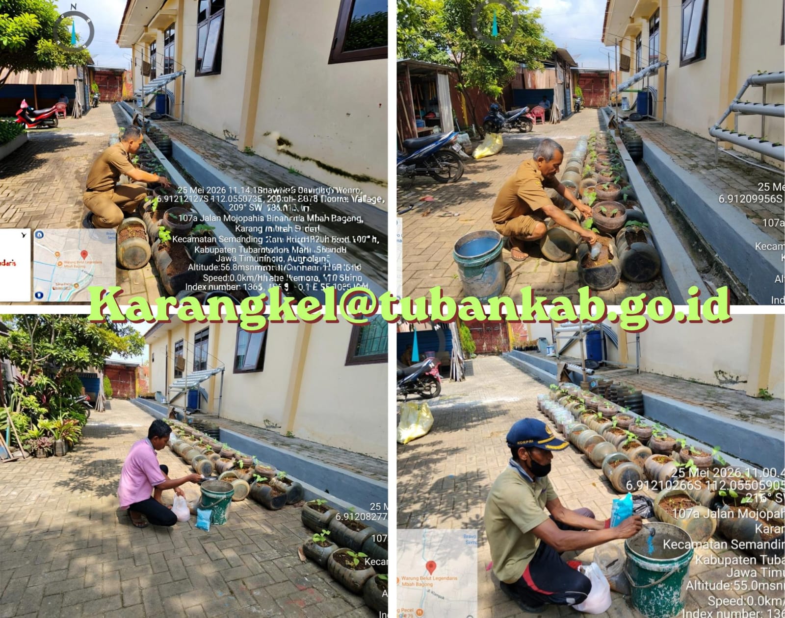 Kegiatan Penyemaian Tanaman Hidroponik di Halaman Kelurahan Karang sebagai Upaya Mendukung Ketahanan Pangan 